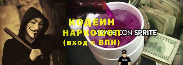 хмурый Магас
