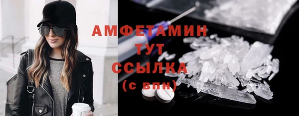 хмурый Магас