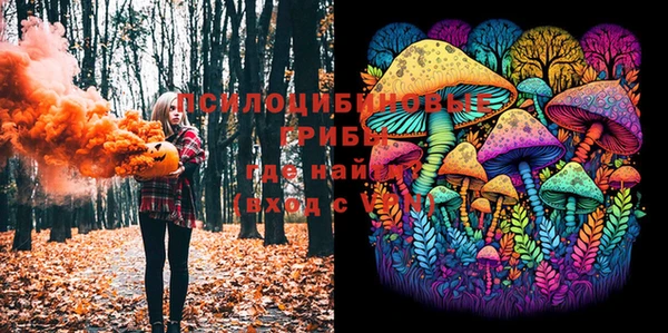 хмурый Магас