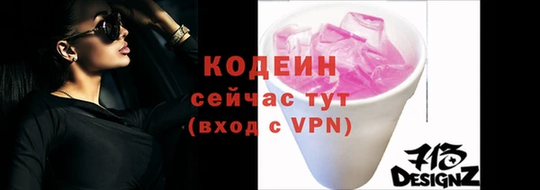 хмурый Магас