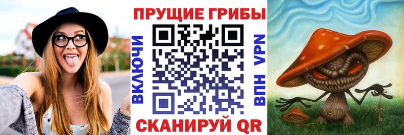 Галлюциногенные грибы прущие грибы  Купить где  Михайловка 